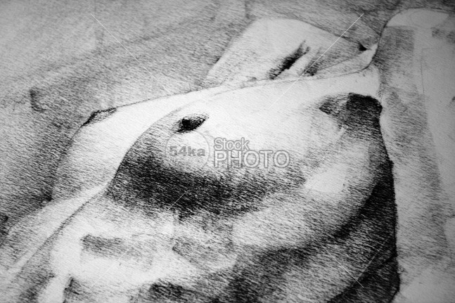 Woman body figure pencil drawing close up detail woman texture srtistic pose drawing srtistic drawing pencil art pencil live model drawing live model Hand Made girl pose art figure famose art expressive drawing detail cute girl art close-up charkoal charcoal buy art drawing body black pencil black and white art drawing Art 54ka StockPhoto