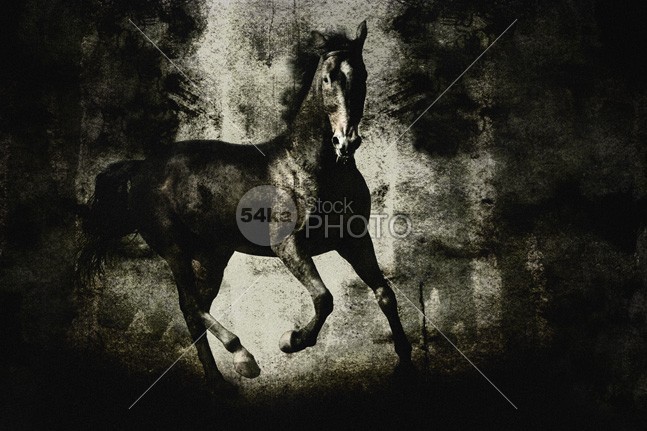 Galloping Horse on Dark Backround Texture wildlife Wild West wild west texture Tail Running outdoors One Animal nobody Motion horse horizontal Galloping fairytale Extreme dust Desert dark Chasing Black Horse black Beauty In Nature Backround Animals And Pets animals animal action 54ka StockPhoto