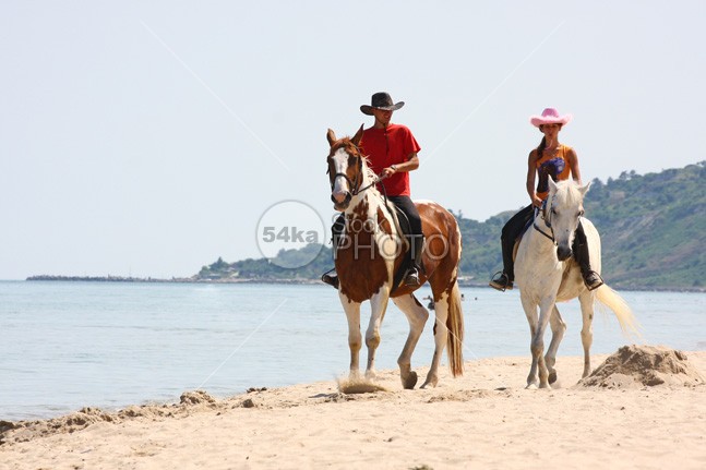 Coastline Vacation Horse Riding on the Beach women Vacations Two People Travel Locations travel tranquil tourism sunset summer sea romance Riding ride Relaxation Relationships Recreational Horseback Riding Recreational People Traveling People outdoors Men Mammals Male Lifestyles Lifestyle Leisure Activity horseback horse horizontal happiness fun Friendship freedom female Family Enjoyment Dating Couple Coastline Cheerful Carefree Beaches beach Animals And Pets animal adult 54ka StockPhoto