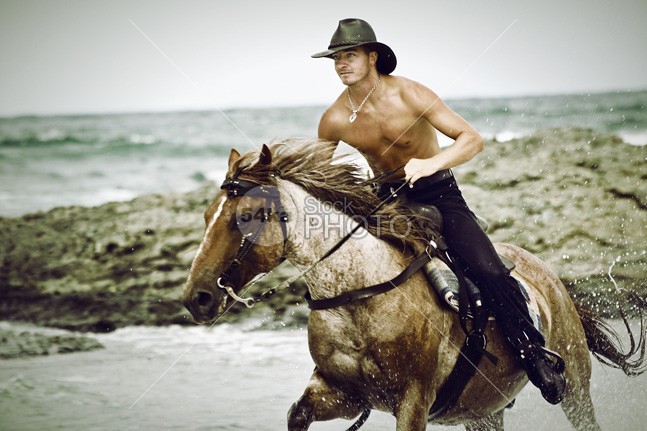 Cowboy Riding Horse On The Beach young wave water Vacations sunset sun summer sky sea Running Riding rider ride red person outdoors ocean nature man lone Lifestyles landscape Jockey horses horseback horse hat happiness freedom equine cowboy Coastline beautiful beach animals animal amazon Adventure action 54ka StockPhoto