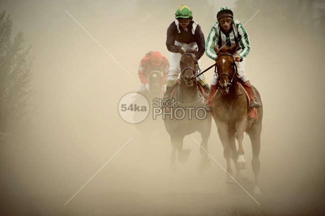 Gamble horses in cloud of dust sunset running horses Running riders Powerful pounding outback multiple mighty many legs kicking horsemanship horse hooves hoof ground gamble horses Galloping gallop foot field fast horses fast equine equestrian dusty dust dusk dirt cloud closeup close-up close backlit animal afternoon 54ka StockPhoto
