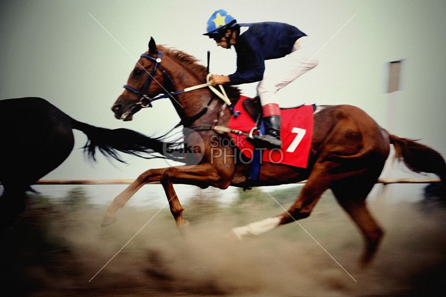 Jockey riding fast gambling horse win turf thoroughbred sticks stallion stakes sport speed silks racehorse race national mare jumps Jockey hurdle hunt horse handicap gaming game gamble futurity furlong filly fence fast equestrian sport competitor competition bookie bet athlete animal 54ka StockPhoto