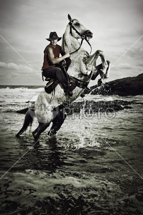 Cowboy riding rear up horse in the sea young wild white western water up trick taming swimming summer Standing stallion sea saddle Riding rearup rearing rear up rear ranch playful outdoor on two legs nature mustang Motion mare man legs horseman horseback horse herdsman hat Harness grey freedom free foal equine equestrian energy dressage cowboy breed blue beast background animal 54ka StockPhoto