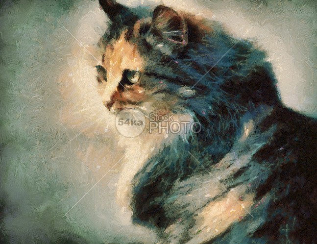 Cat wall art wall rest purebred proud portrait pet People painting paint outside outdoor orphan one old oil on canvas oil nature nap Morning mammalian mammal looks sad lookout look little light life kitty kitten great gray fresh footpath fluffy fence fauna eyes eye ears domestic day cute color closeup close-up close circumspection cautious cat canvas brown beige beautiful Art animal alone 54ka StockPhoto