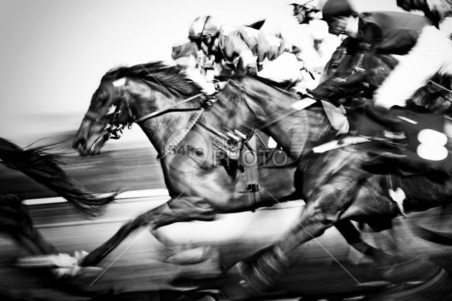 Horse Racing whip wager track sport speed skill saddle Running Riding rail racehorse race print photo People outdoor Motion mare jockeys Jockey horses horseback horse selection horse gamble gallop fast equine equestrian beauty equestrian dust dirt black and white beauty b&w Art animal action 54ka StockPhoto