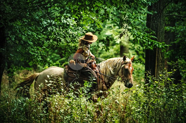 Woman riding horse in the forest leisure leaf landscape joy independence Idyllic Horseback Riding horseback horse photography horse horizontal hobby helmet Harness happy green grace girl Galloping gallop full freedom forest field female equitation equine equestrian image equestrian beauty equestrian environment enjoy domestic animals domestic Color Image bridle breed Beauty In Nature beauty Beautiful Woman beautiful autumn attractive animal themes animal allure Activity 54ka StockPhoto